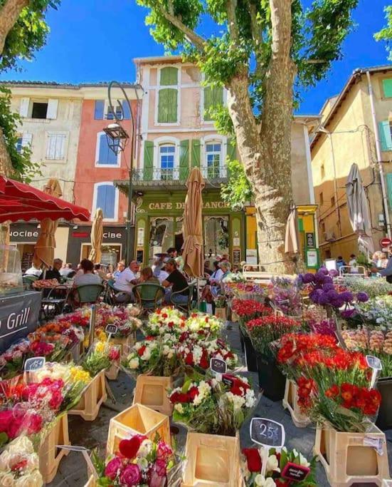 La Loge Familiale: 110M2, Place Rose Goudard, Ac LʼIsle-sur-la-Sorgue Екстериор снимка